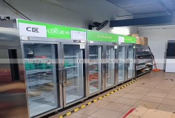 冷藏柜-廣州多臺(tái)兩門冷藏展示柜選購