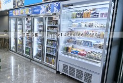便利店冷柜-廣州哪里有賣便利店飲料柜？