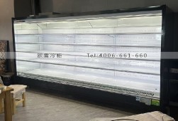 風(fēng)幕柜-上?；疱伒?米分體機(jī)串串風(fēng)幕柜選購(gòu)